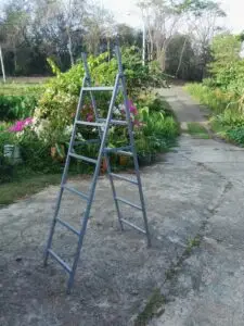 Ladder